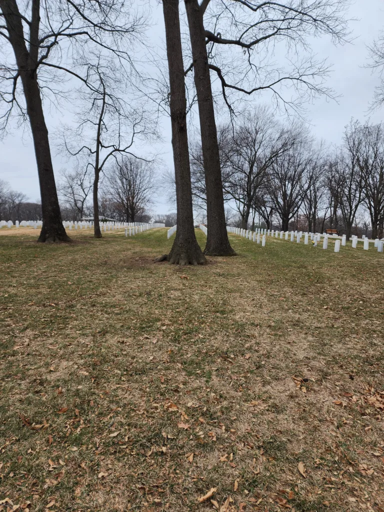 Preparation of turf at Jefferson Barracks National Cemetery