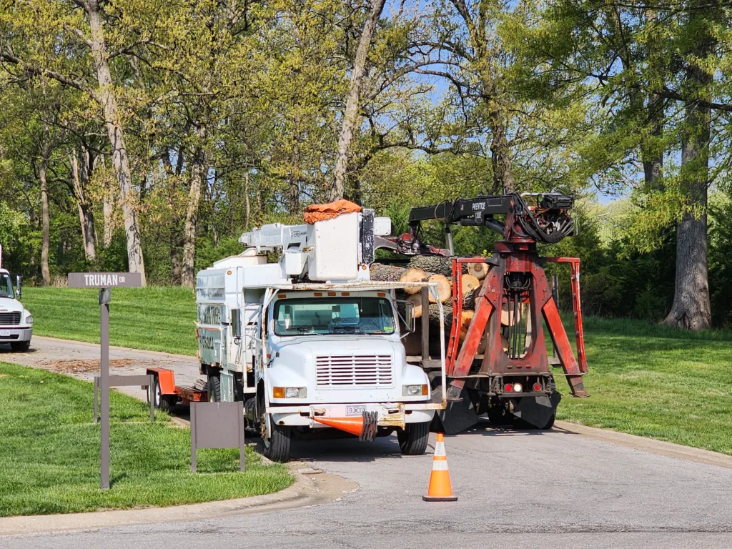 Tree Removal at Jefferson Barracks National Cemetery