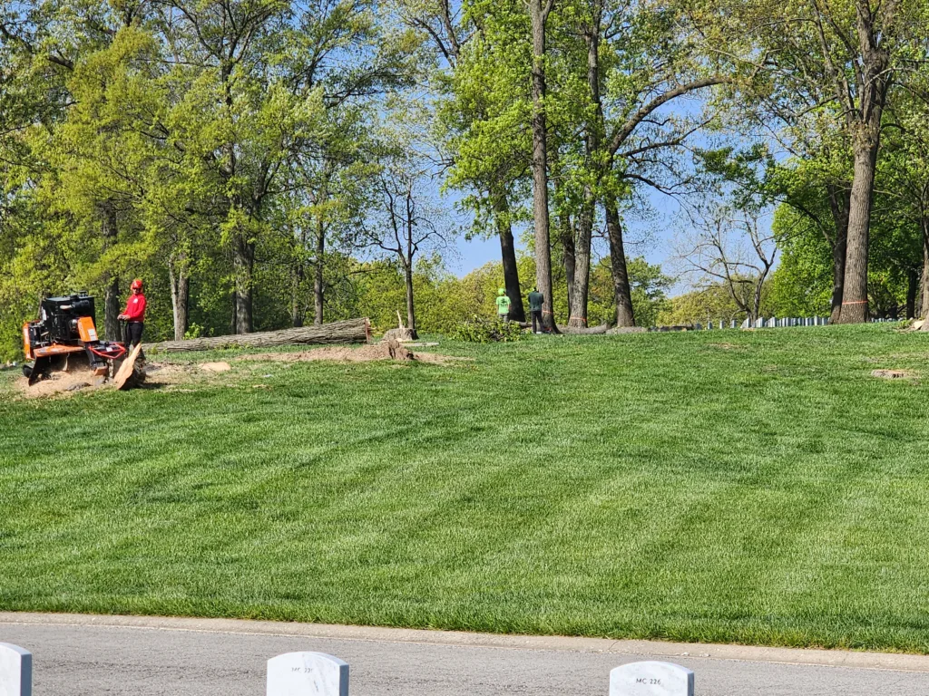 Tree Removal at Jefferson Barracks National Cemetery