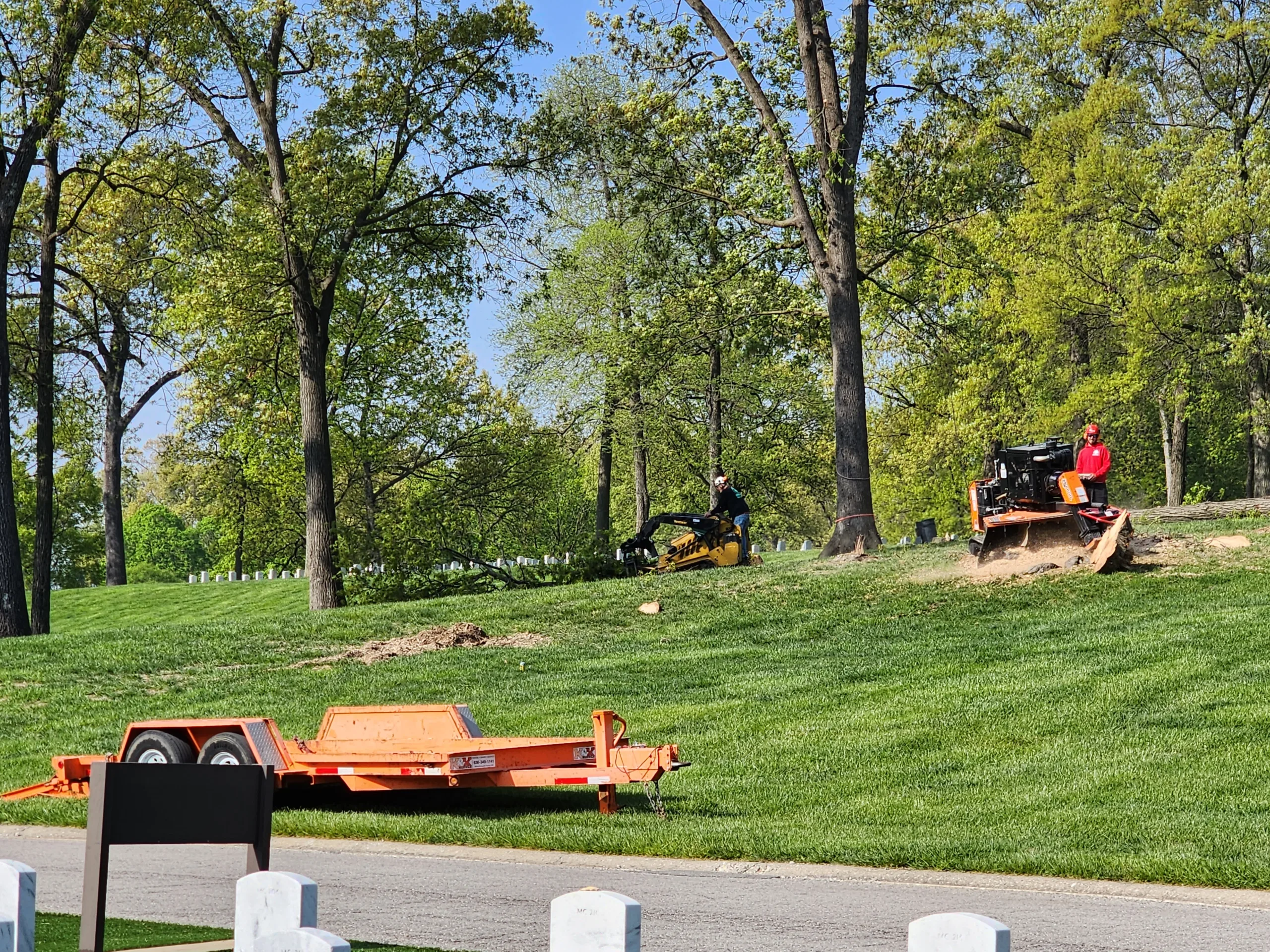 Tree Removal at Jefferson Barracks National Cemetery