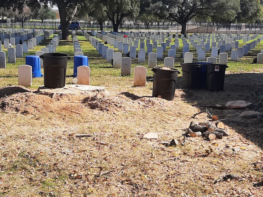 Tree removal at Fort Sam Houston